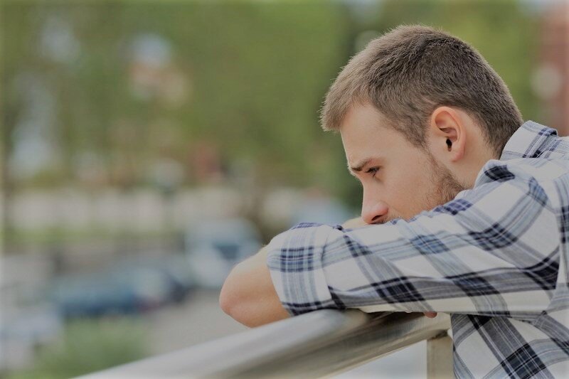 Яндекс. Картинки