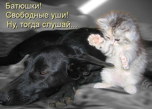 Прекрасный мем:) автору респект!