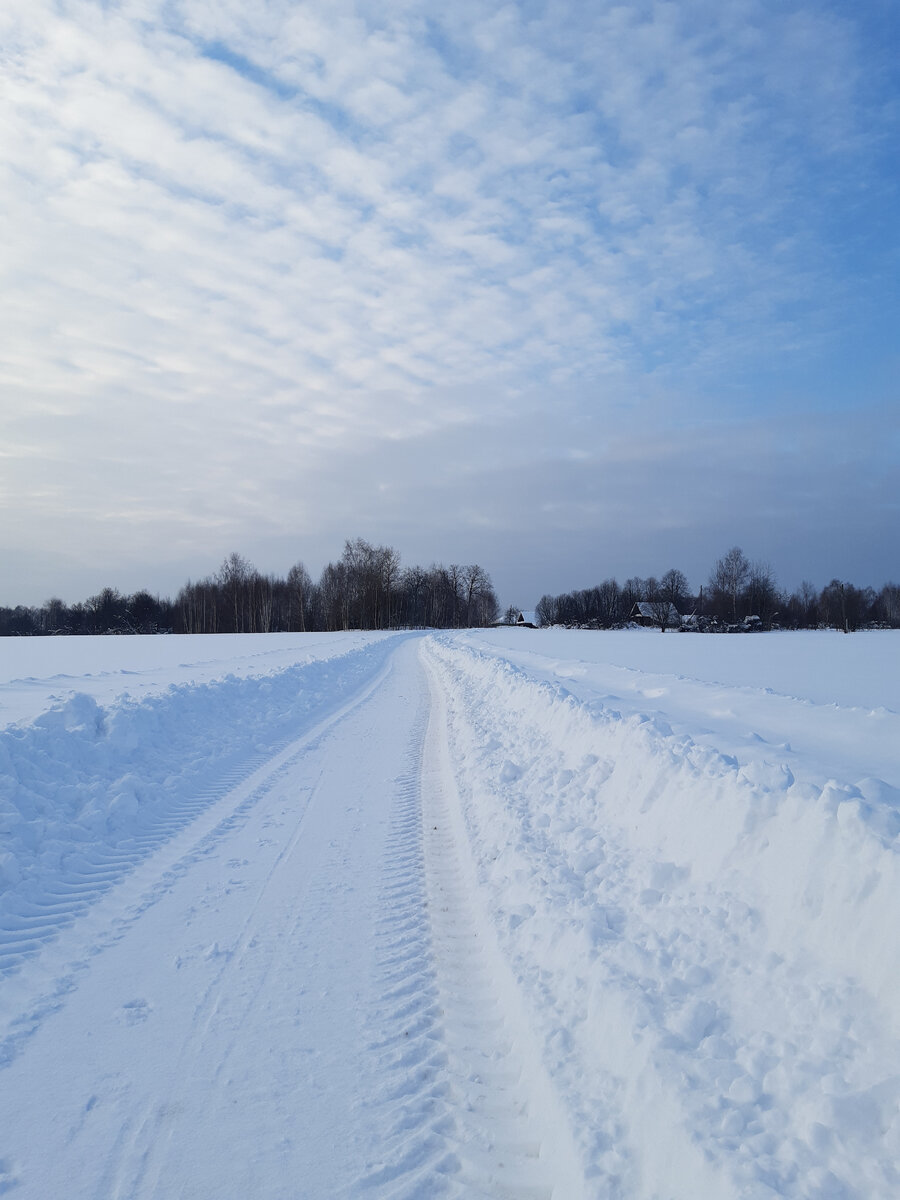 Дорога в деревню, где вырос мой папа.