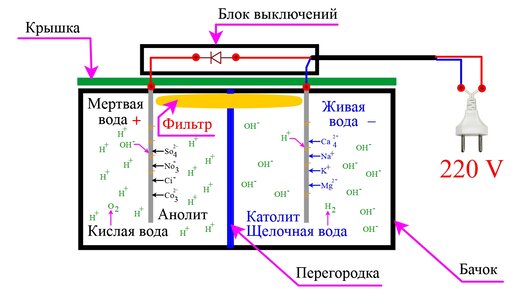 Живая и мёртвая вода. СТОИТ ЛИ ПИТЬ?