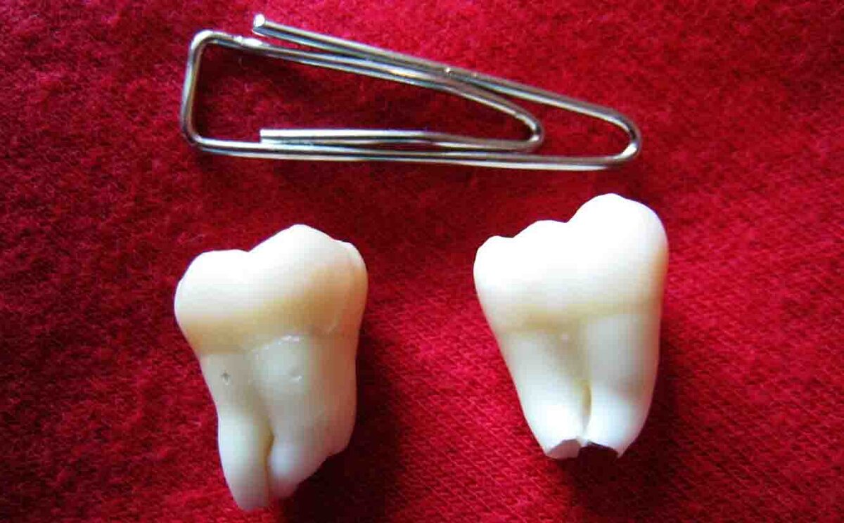 mydentist.ru
