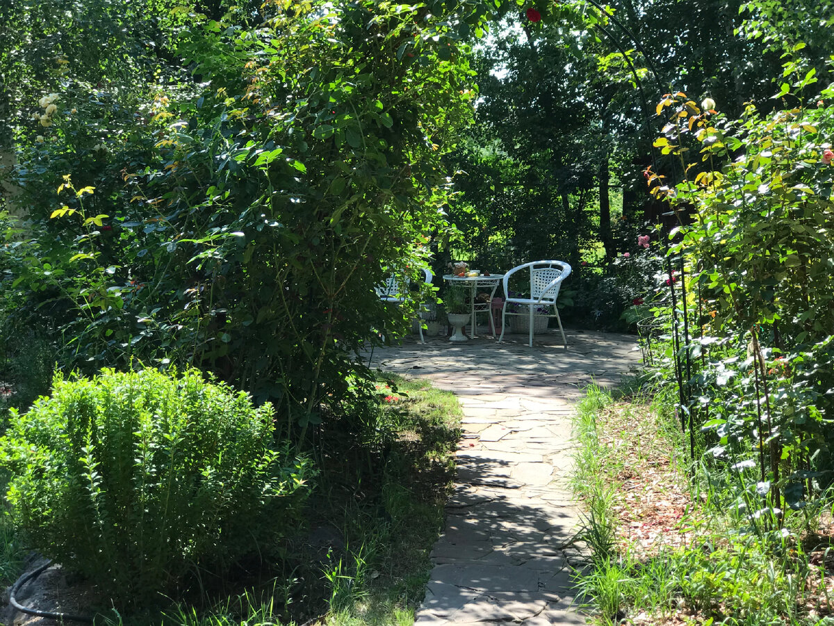 На первый взгляд может показаться, что «органический сад» и «сад в природном» стиле - понятия идентичные. Но это не одно и то же. Природный стиль - это искусно сделанная имитация природных растительных сообществ, где достигается эстетическая гармония. Сад же органический это, скорее, отражение философии гармоничного сосуществования с природой. Из принципов организации жизни в таком саду вытекает и его эстетика.