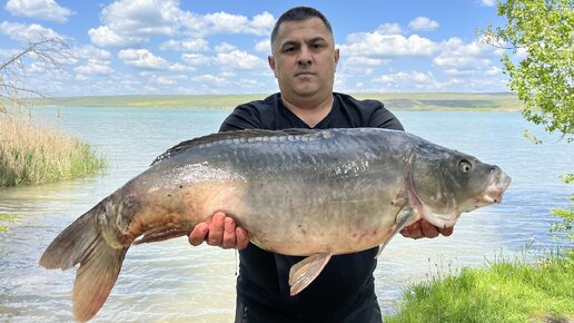 Как пожарить рыбу вкусно? Приготовили карпа 9 килограмм на сковороде садж, рецепты из рыбы,