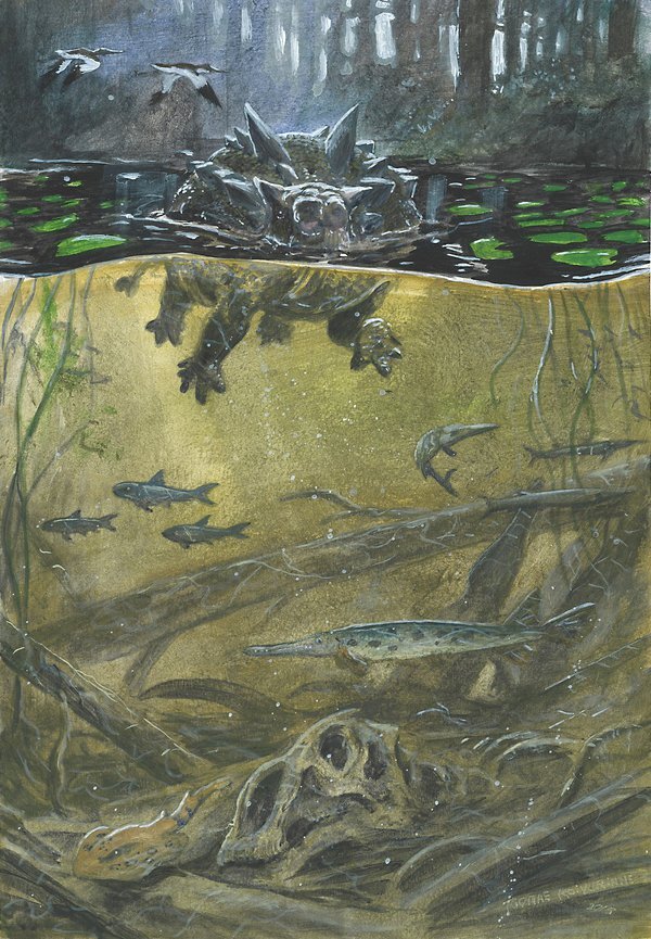 Я не танк, а БМД!