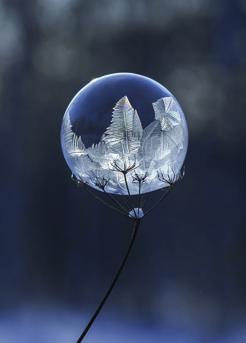 Автор Андрей Пристяжнюк, Россия. Фото www.35awards.com