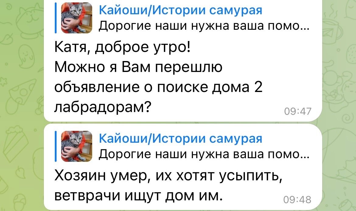 Статья родилась из запросов на тему пристройства (Екатерина не первая, кстати, кто просил, но к ней у меня вопросов не было, поэтому и не отказала). Бывает и вот так...
