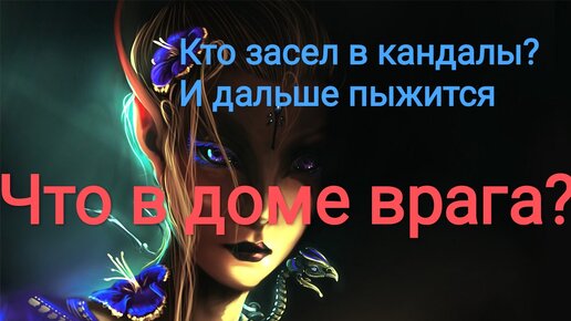 Активисты заковали себя в кандалы под Радой - Политические новости Украины | Сегодня