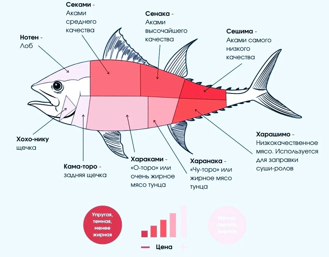 Части рыбы схема разделки
