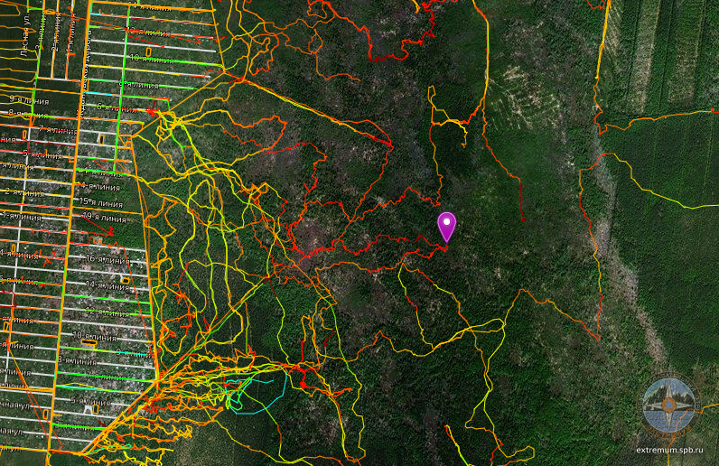 Флажком на карте отмечено место, где находился заблудившийся мужчина. Цветные линии - это треки предыдущих поисков в этом районе. Их было много, с разными задачами и гипотезами, потому они в разных зонах и выглядят бессистемно. По их цвету и траекториям можно предположить скорость передвижения групп и степень сказочности пупышевского леса.