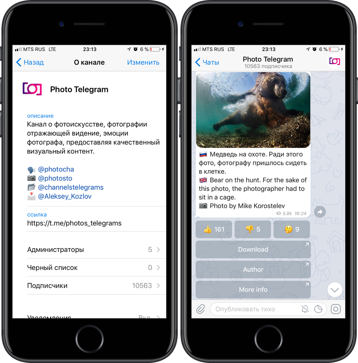 Картинка телеграмм на айфоне