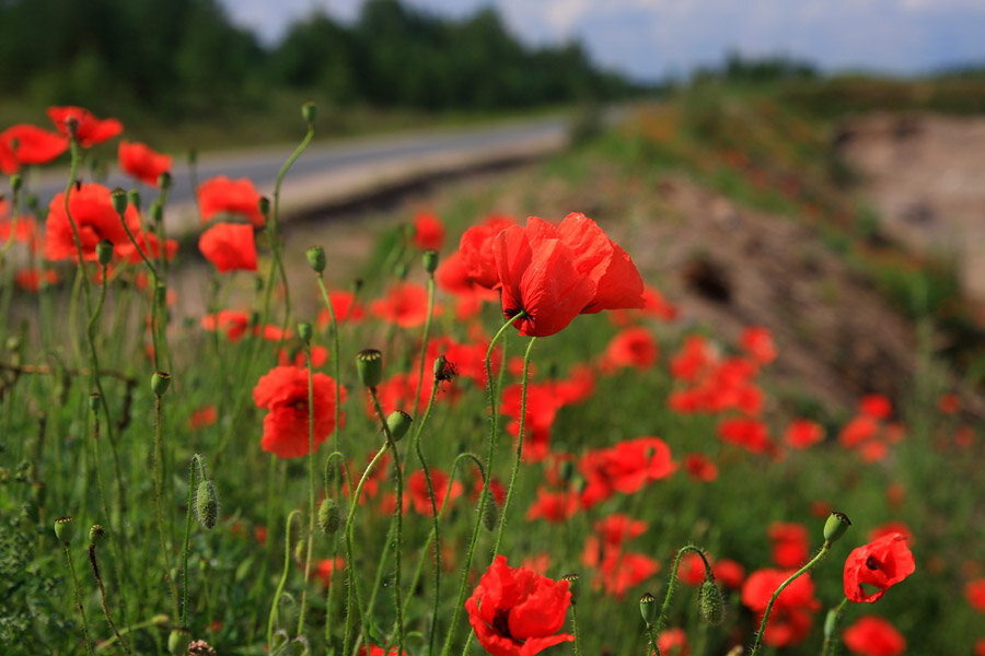 Потому и людей почти нет.