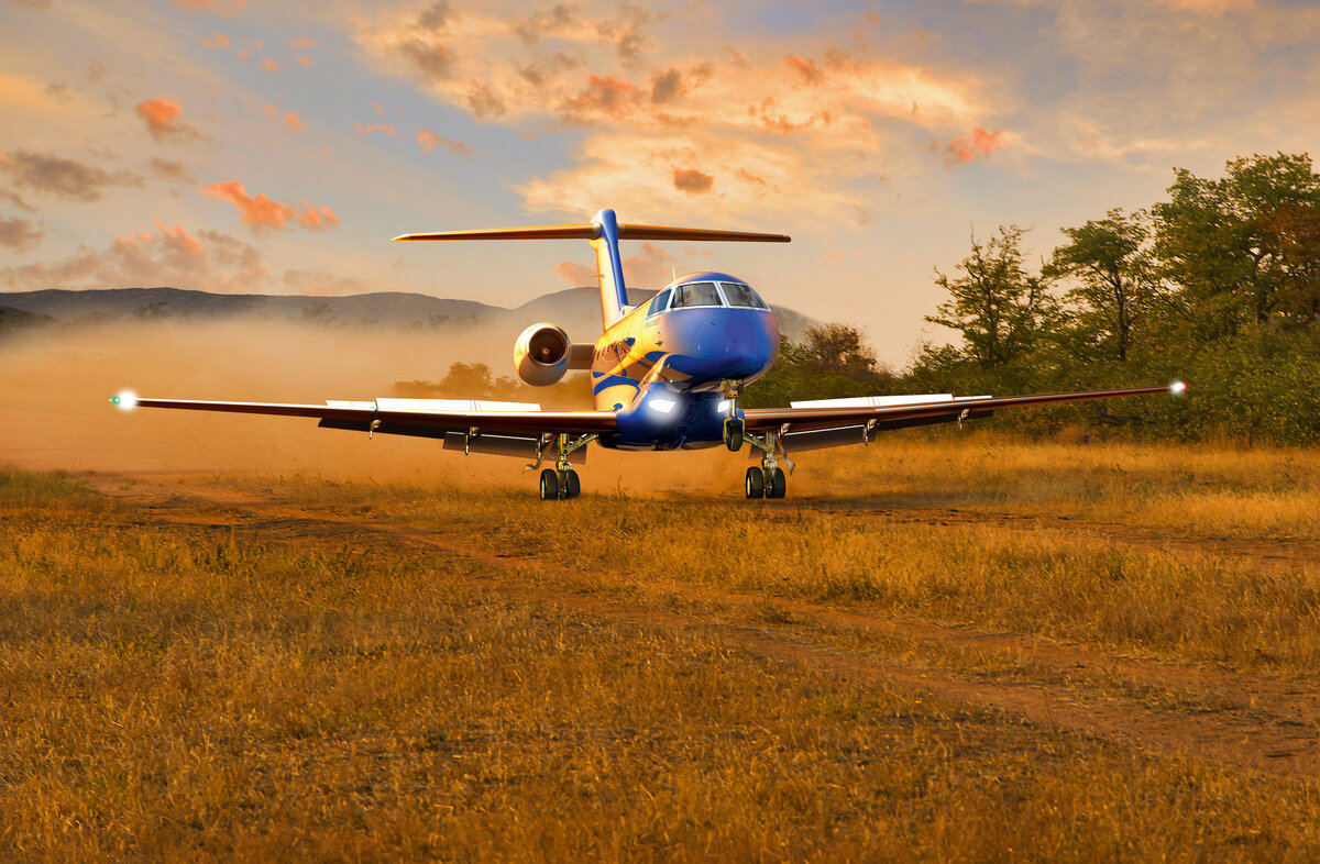 Реактивный самолёт в поле? Да, ведь это Pilatus!