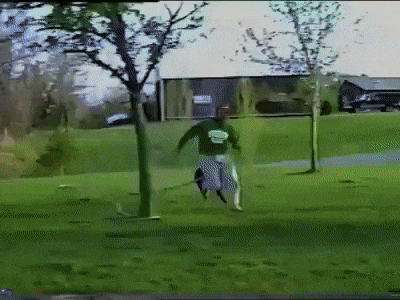 Лайка-Поливайка