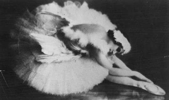 
«Умирающий лебедь» Анны Павловой