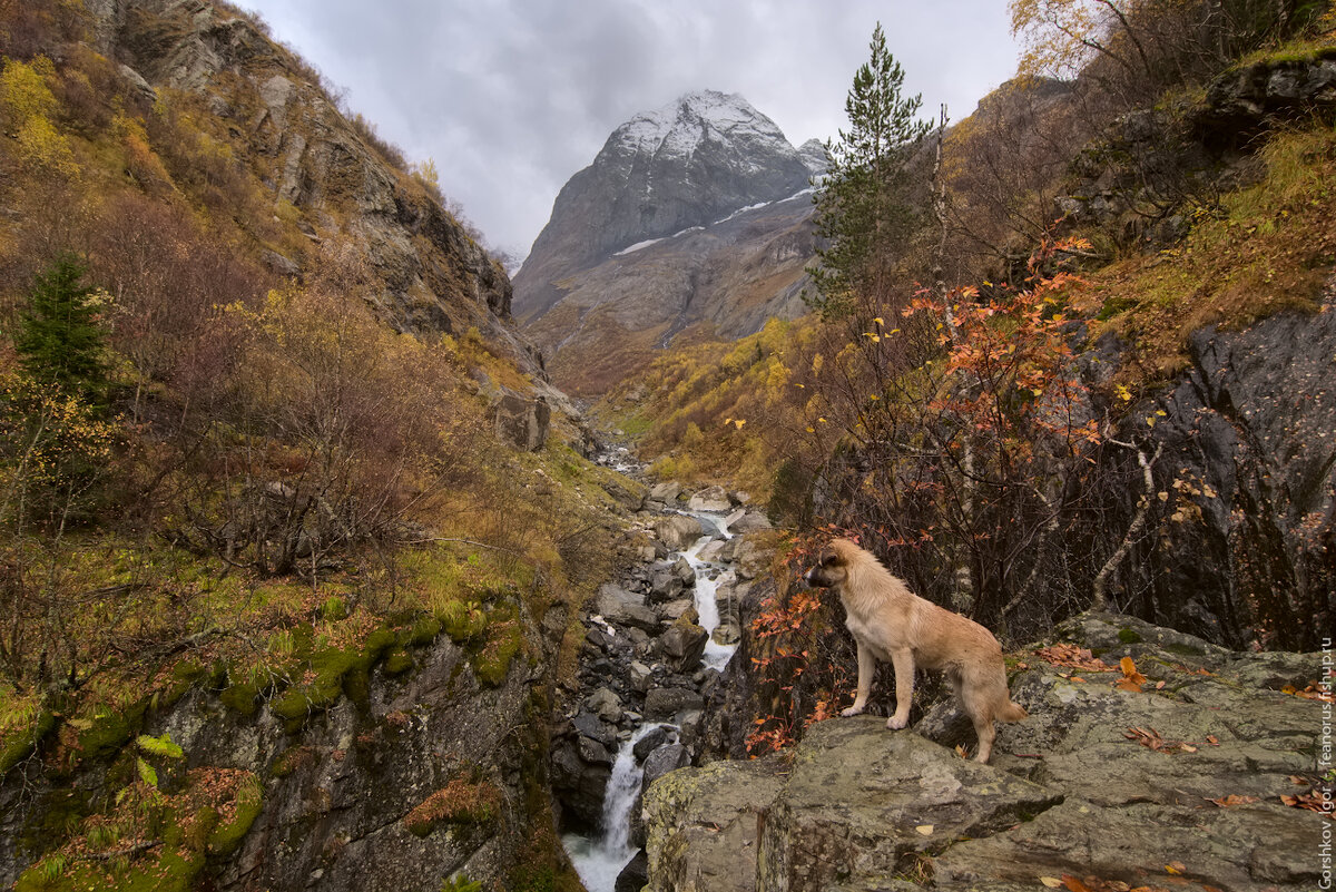 Осень в горах Кавказа