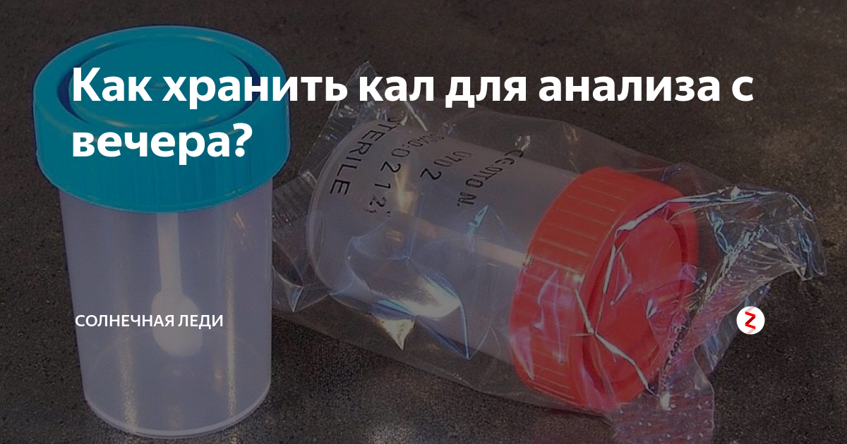 Сдают ли кал. Сколько кала нужно для анализа. Как собрать кал на анализ. Как сдавать кал на анализ. Как хранить кал для анализа.