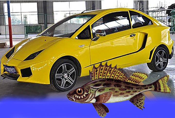 Эта штука просто колючая и бесполезная в плане улова