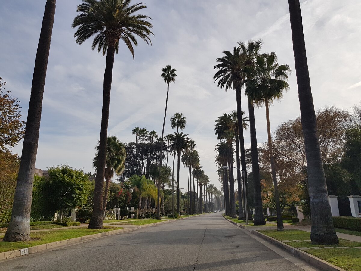 Одна из улиц городка Beverly Hills