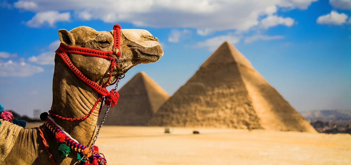 Туризм в Египте: всё что надо знать о стране | tvoya-afisha | Дзен