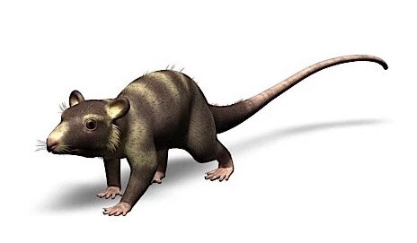 Пургаторий