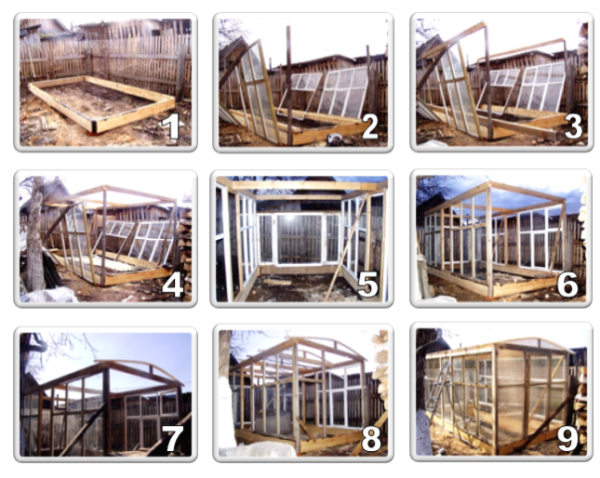 Теплица из рам своими руками: как сделать, пошаговая инструкция, фото и видео