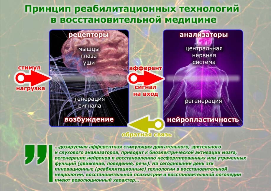 вертебрологии спб. центр восстановительных технологий. центр восстановительных технологий. центр восстановительных технологий. центр восстановительных технологий.