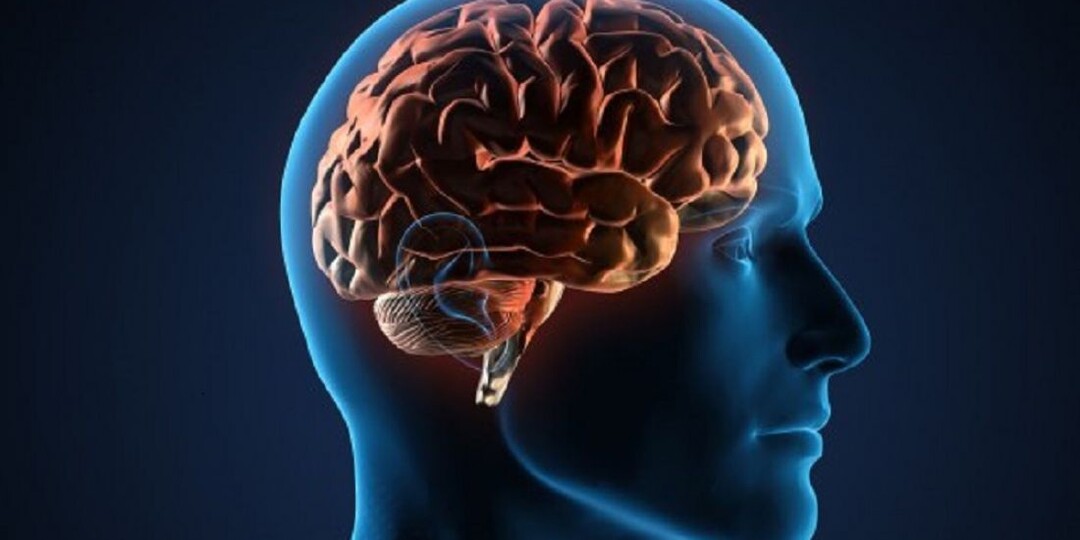 Когда закончится память у человека?