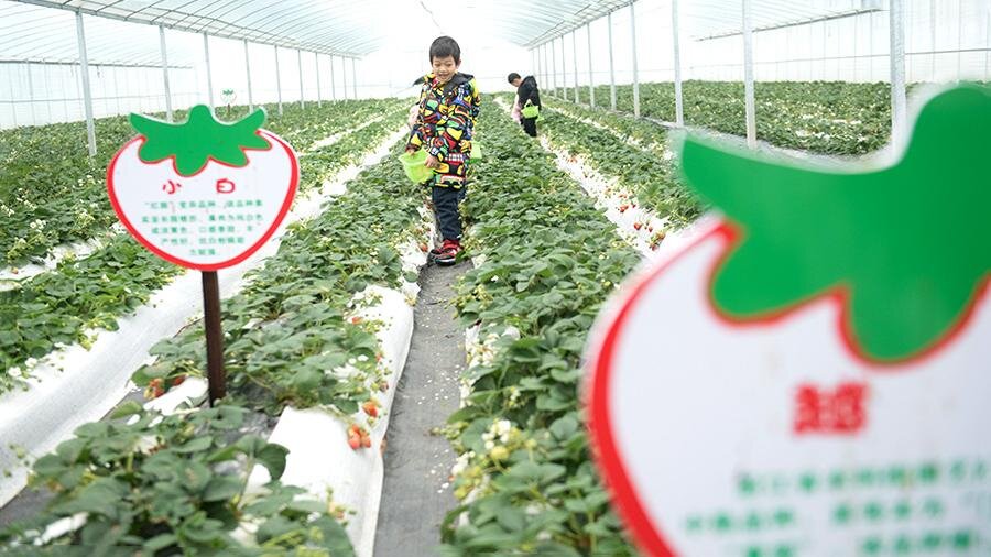 Фото: Global Look Press/Weng Xinyang 