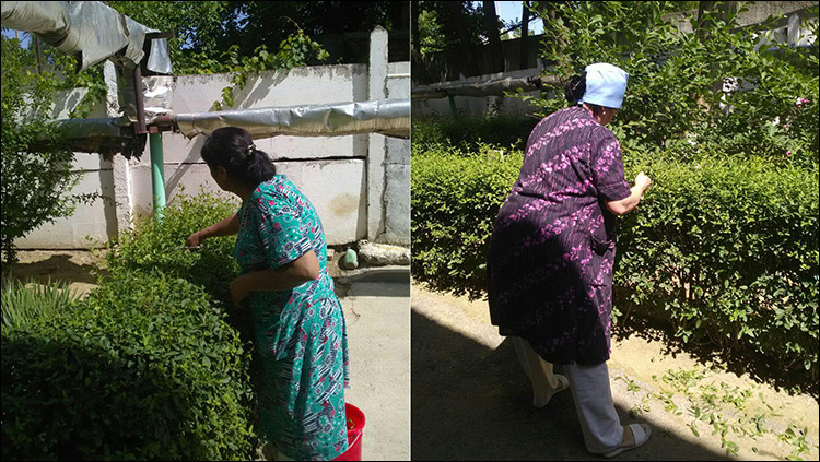 
Младший медицинский персонал больницы стрижет кусты ножницами, хотя в штате больницы два садовника на полставки каждый. Фото «Ферганы».
