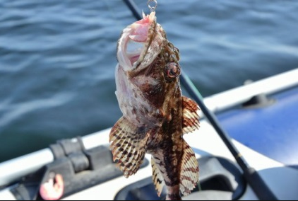 фото взято с сайта jak.magey.com.ua