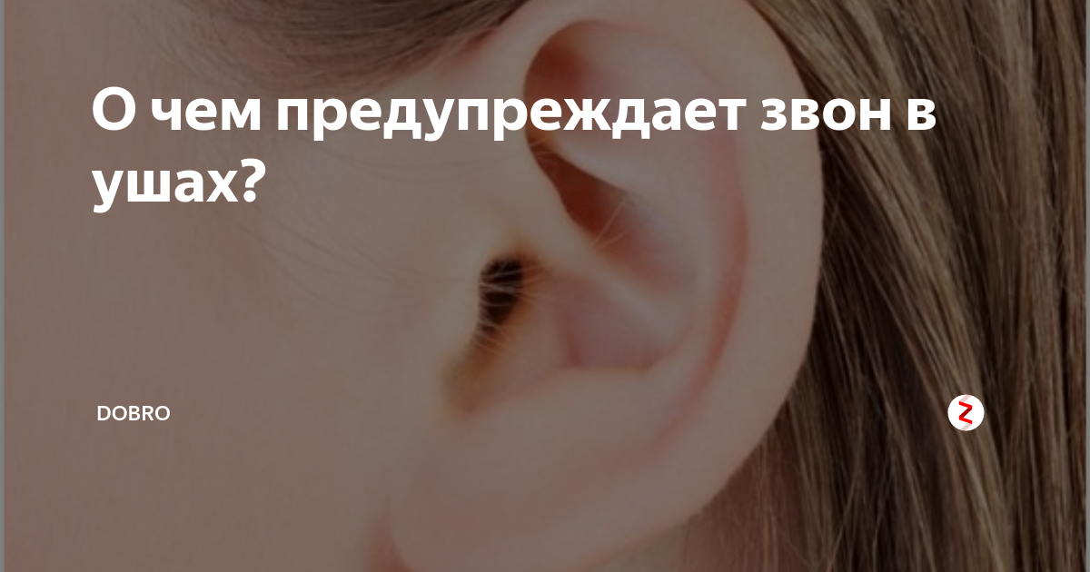Слышу сердце в ухе. Шум и звон в ушах. Шум звон в ушах причины. Сильный звон в ушах. Звон ушах в ушах причины