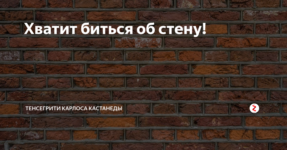 Фразеологизм бьюсь. Биться. Если об стену биться. Выражение биться о стену. Стена башкой биться здесь.