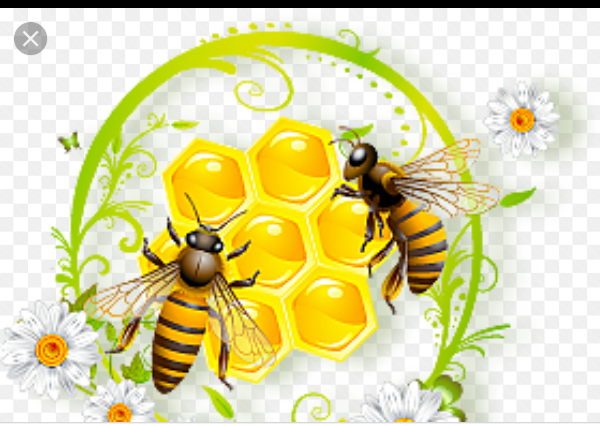 Ульи для пчел из пенополиуретана своими руками
