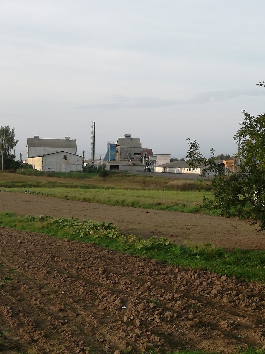 Рабочий колхоз в агрогордке