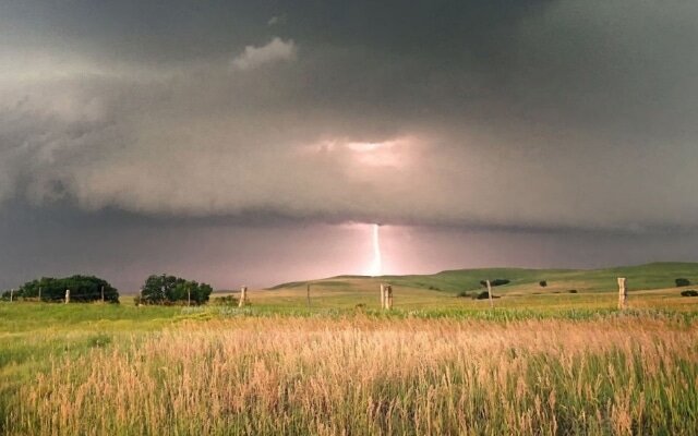 Гроза в поле
