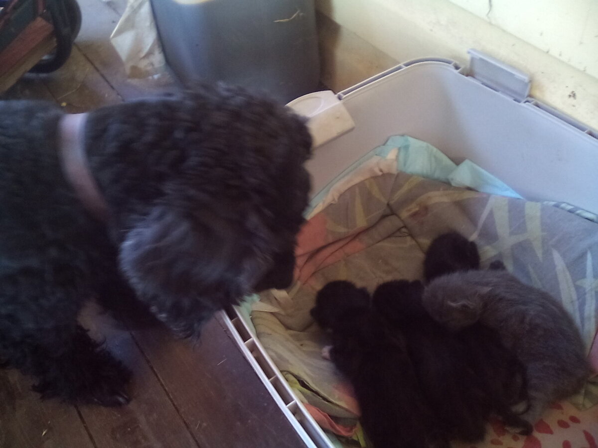 Какие крохи...