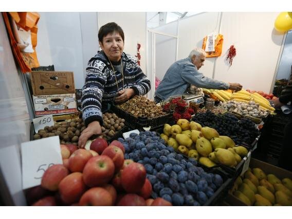 Источник: dsh.krasnodar.ru 