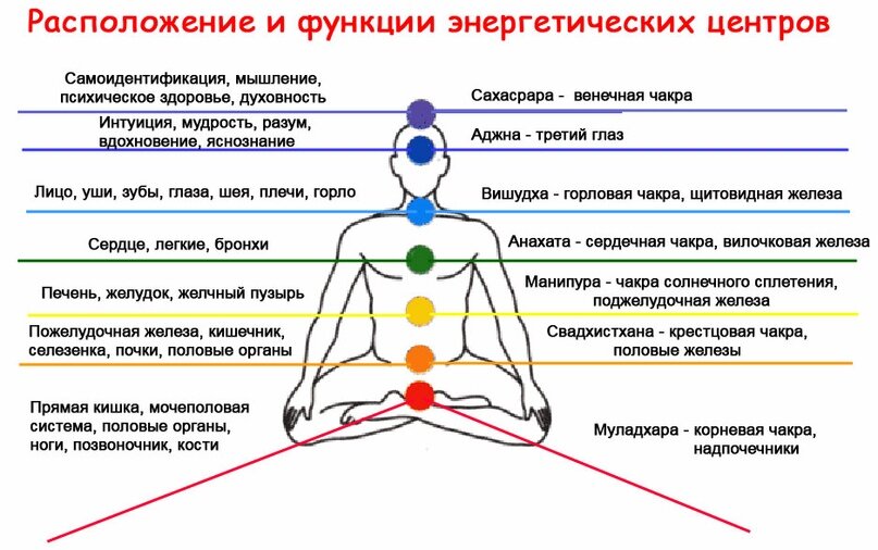 Развитие биоэнергетики. Ч.2 Чакры | Russkij Volhv | Дзен