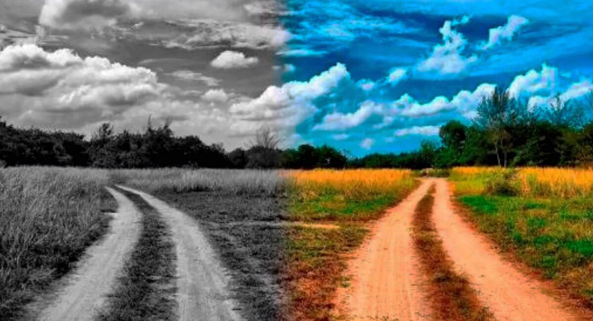 Вы можете ошибиться в выборе дороги, но если вы будете стоять на месте и сомневаться, вы не сможете сделать правильный выбор.