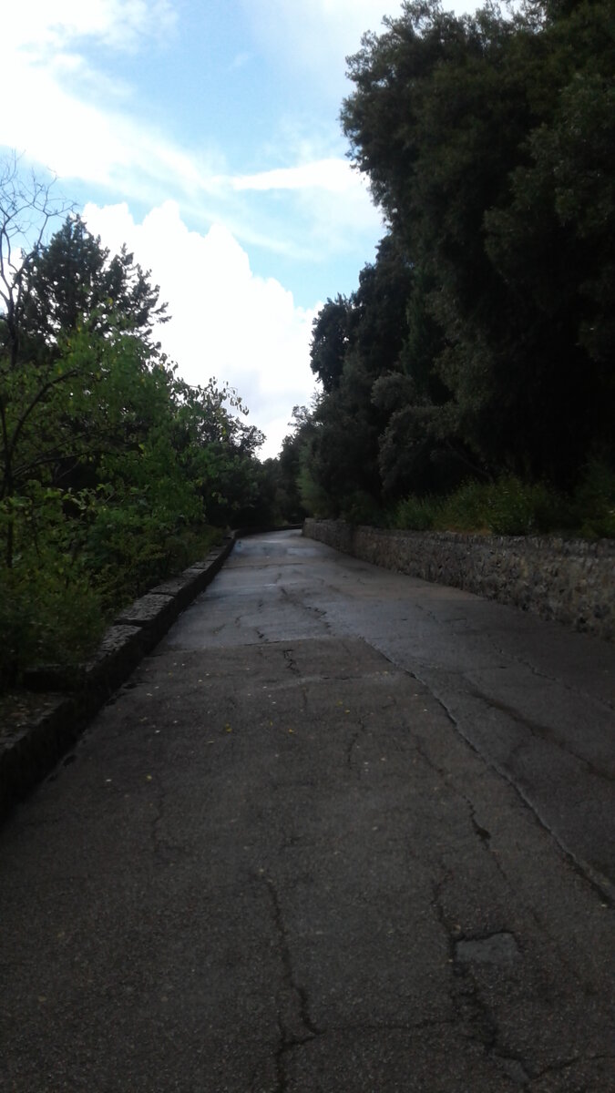 Дорожка в парке ведет к дворцу