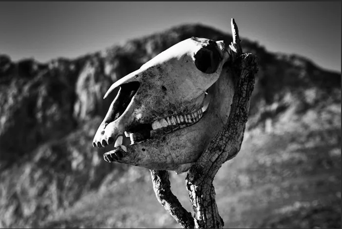 фото из сети