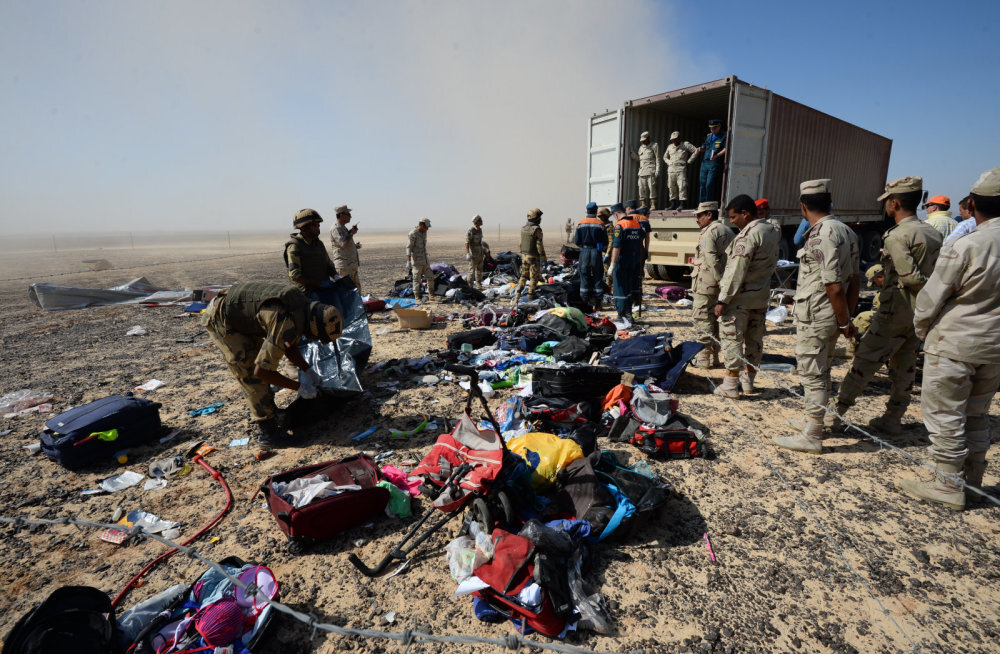Петербуржцы на Марсовом поле предоставили "Живой самолет"