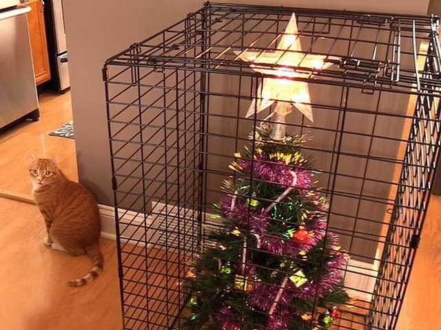 Источник: reddit.com