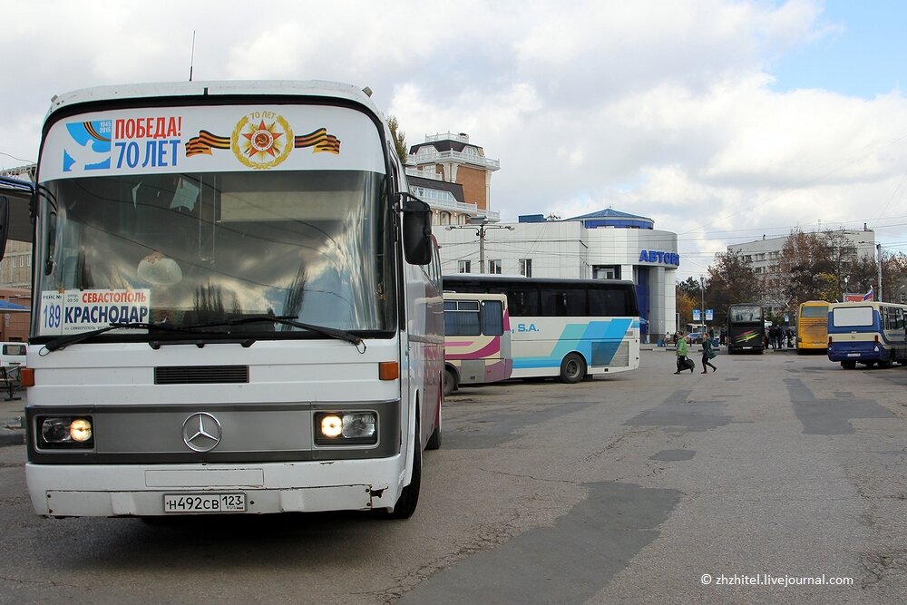 Москва краснодар крым. Автобус Краснодар. Автобус Севастополь Краснодар. Симферополь Краснодар автобус. Краснодар Крым автобус.