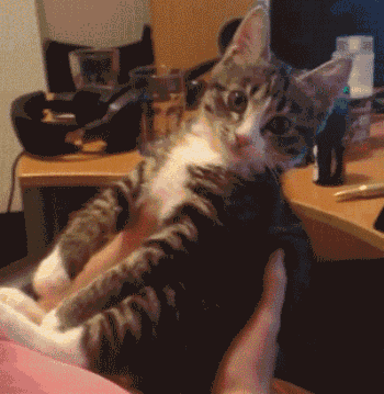 Не целюй, я стесняюся!