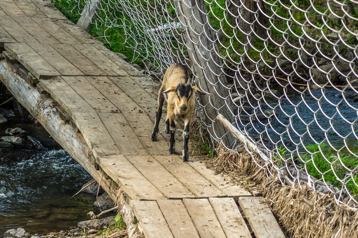 Фото: kovaler.livejournal.com