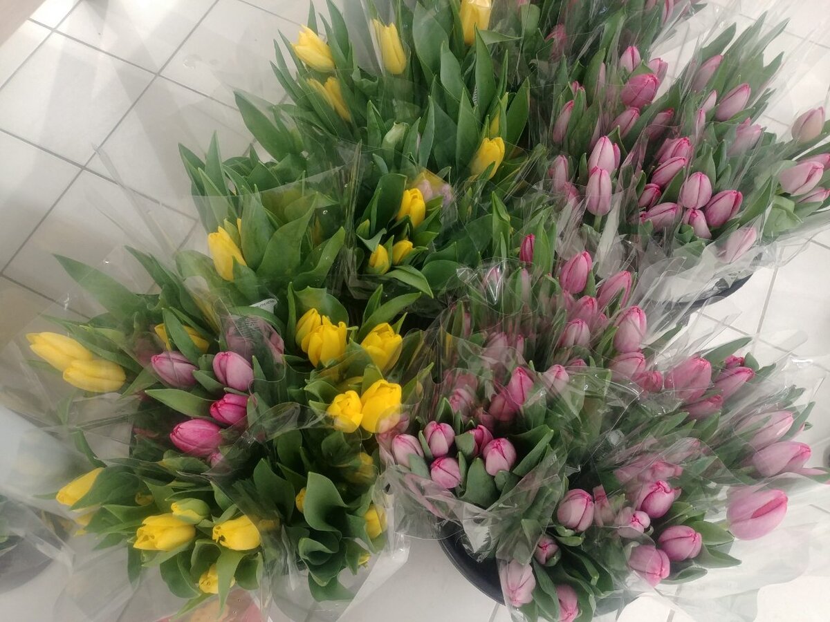 Тюльпаны в Ашане в преддверии 8 Марта. Фото из личного архива