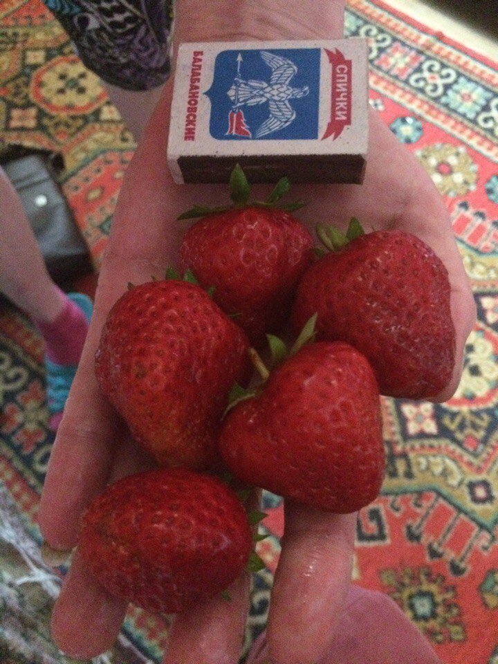 Мой урожай прошлого года