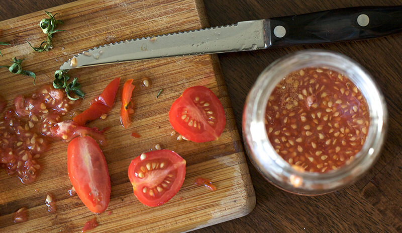 Сбор семян в баночку