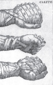 Цестус. Источник: wikimedia.org